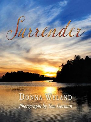 cover image of Surrender